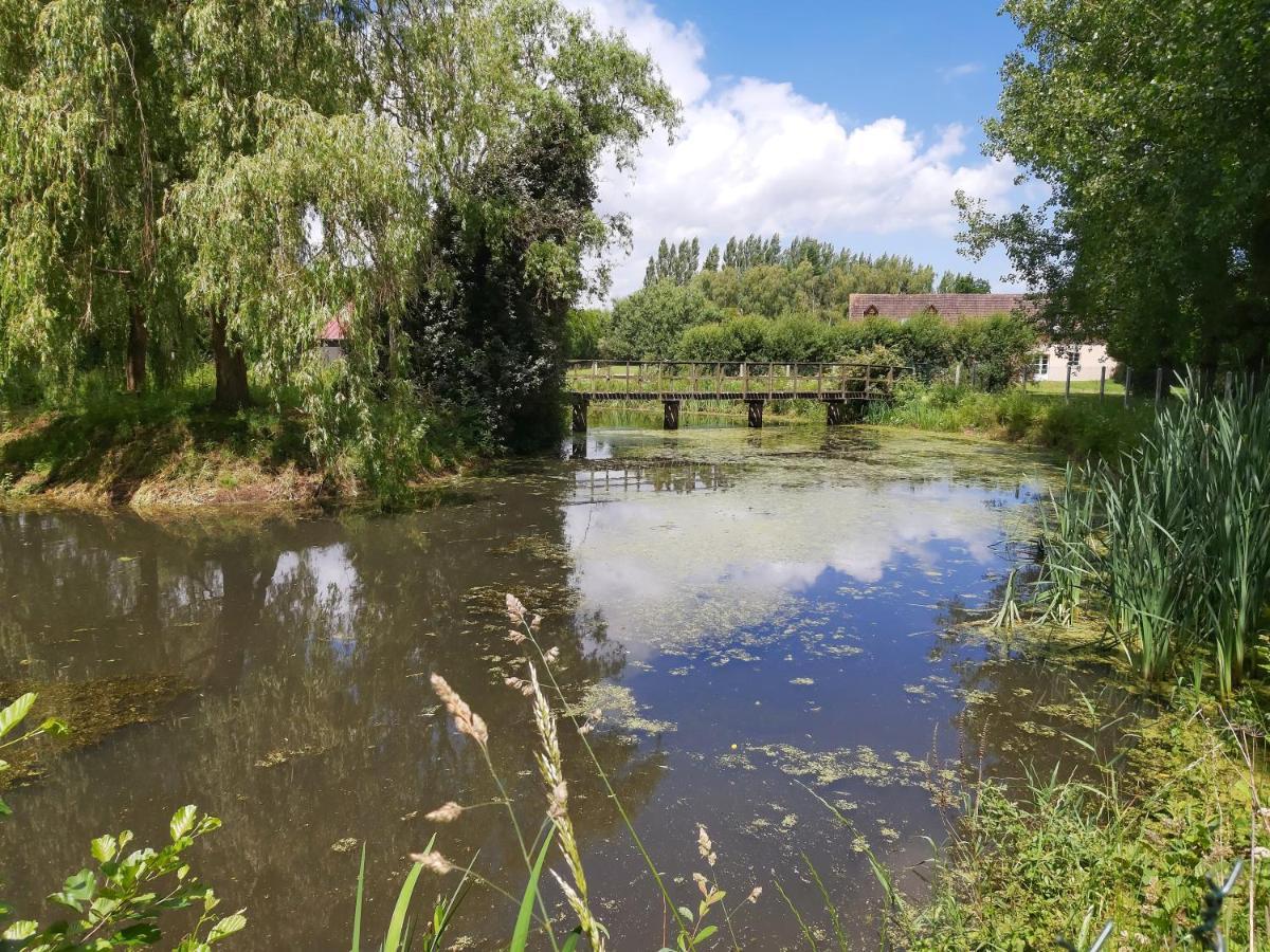 Le Bonheur Des Plumes Bed & Breakfast Montmartin-en-Graignes Dış mekan fotoğraf